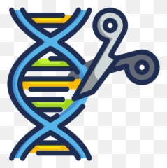 Genetic Engineering - Icon Png