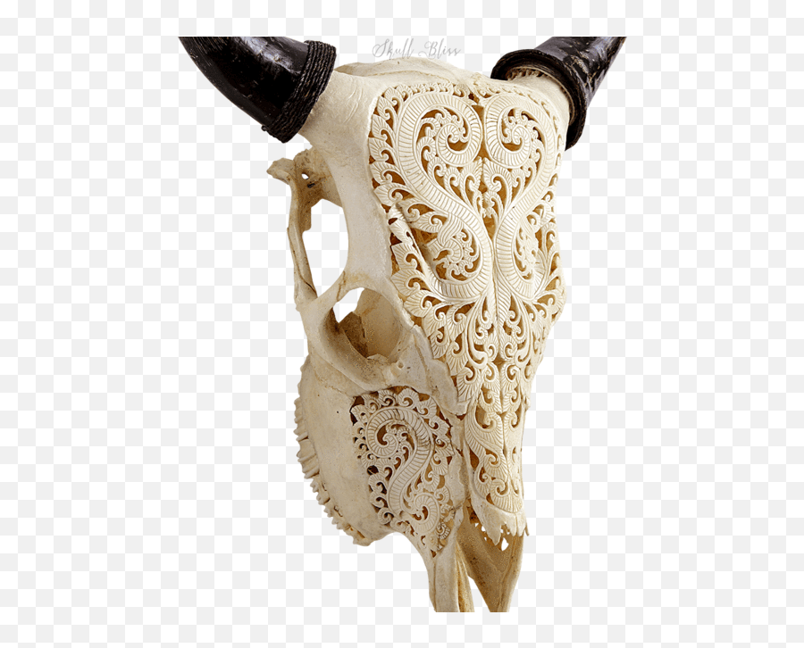 Carved Cow Skull Transparent Png Image - Skull,Cow Skull Png