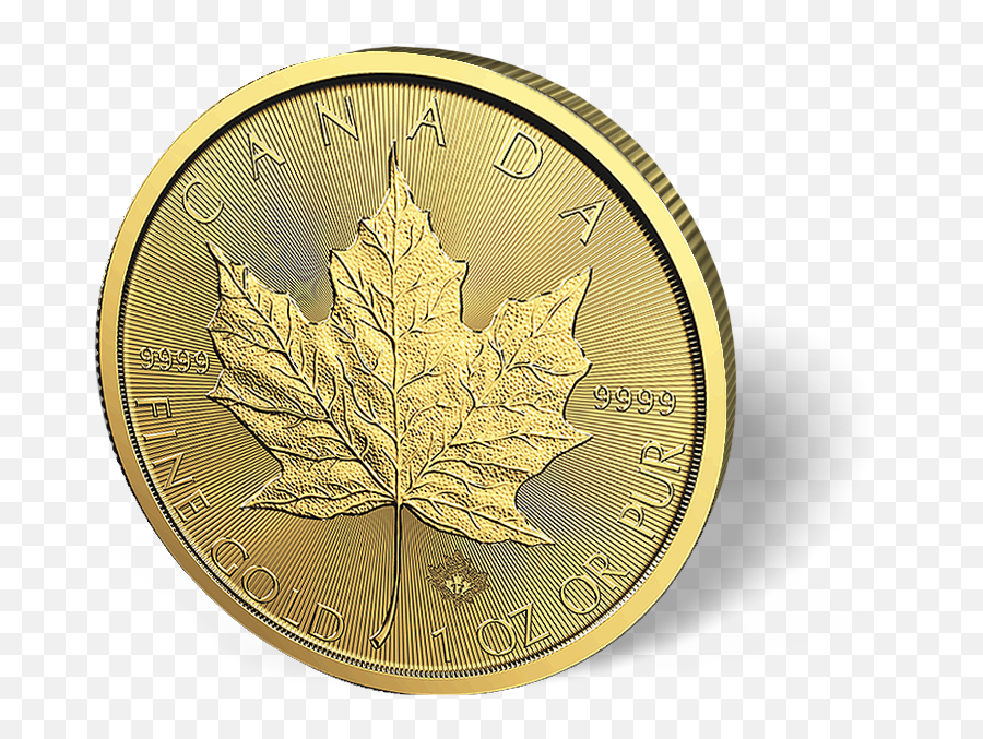 Download 1 Oz Canadian Gold Maple Leaf Coins - Canadian Gold Solid Png,Canadian Leaf Png
