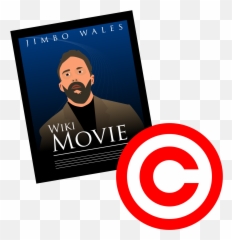 Fair Use Movie Poster - Copyright C Png,Movie Poster Png