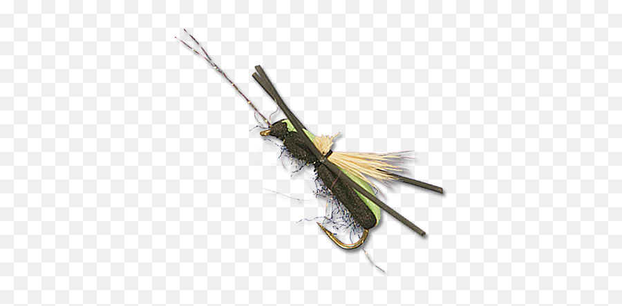 3 Top Beetle Patterns For Fly Fishing - Longhorn Beetle Fly Pattern Png,Patagonia Fish Logo