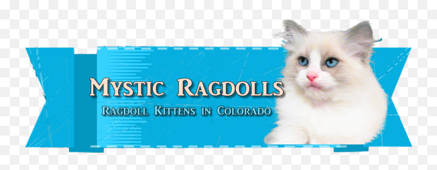 Mystic Ragdolls - Soft Png,Ragdoll Logos