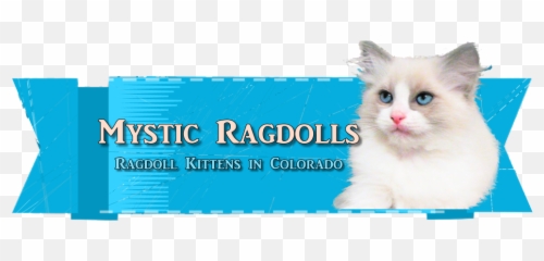 Mystic Ragdolls - Soft Png,Ragdoll Logos