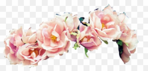 Download Hd My Fave Flower Crown Owo Pink Flowers - Flowers Head Crown Png,Owo Png