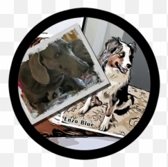 Bowieu0027s Bytes Home - Australian Shepherd Png,Australian Shepherd Icon