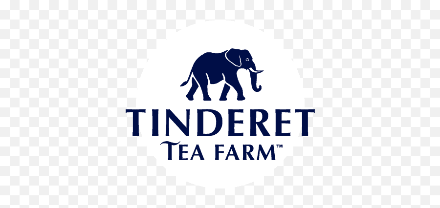 Tinderet Is Home To Our Great Tasting Green Teas - Language Png,App With Elephant Icon