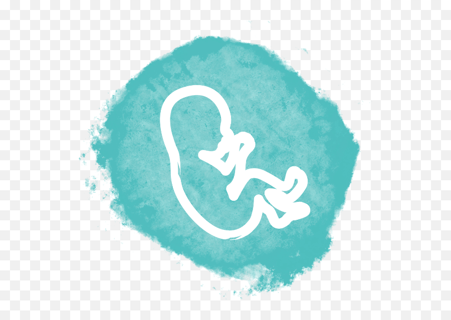 Vegan Omega 3 Dhaepa From Algae Oil Triple Saver Omvits - Art Png,Pregnancy Icon Vector