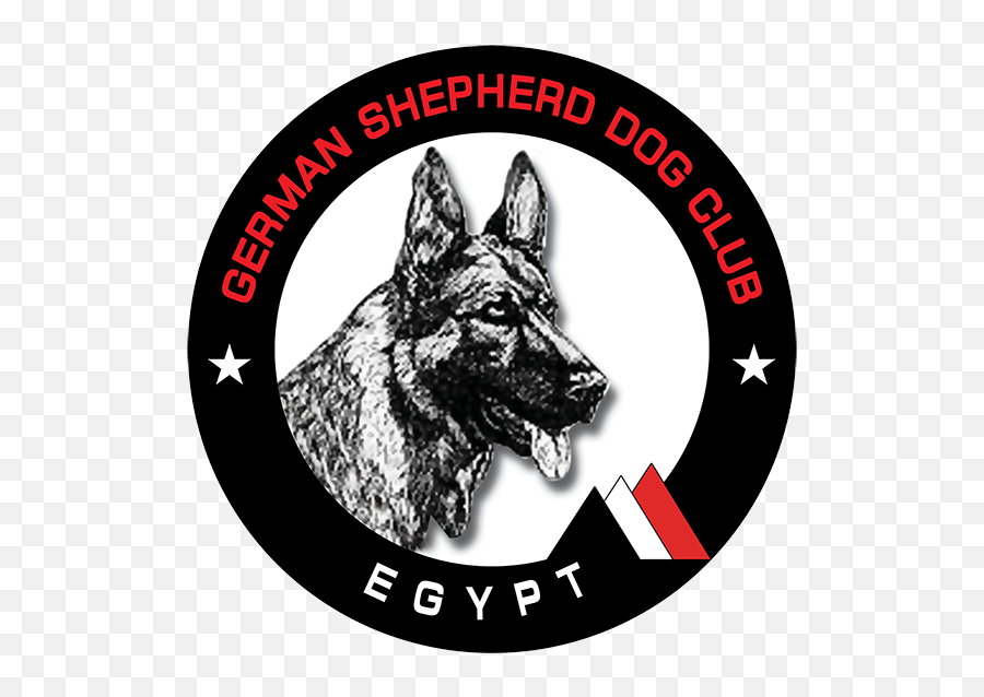 Home Flat Theme - German Shepherd Club Logo Png,Dog Logo