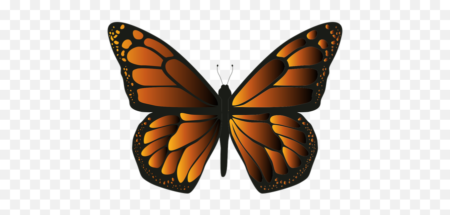 Monarch Butterfly Png Picture - Butterflies,Monarch Butterfly Png