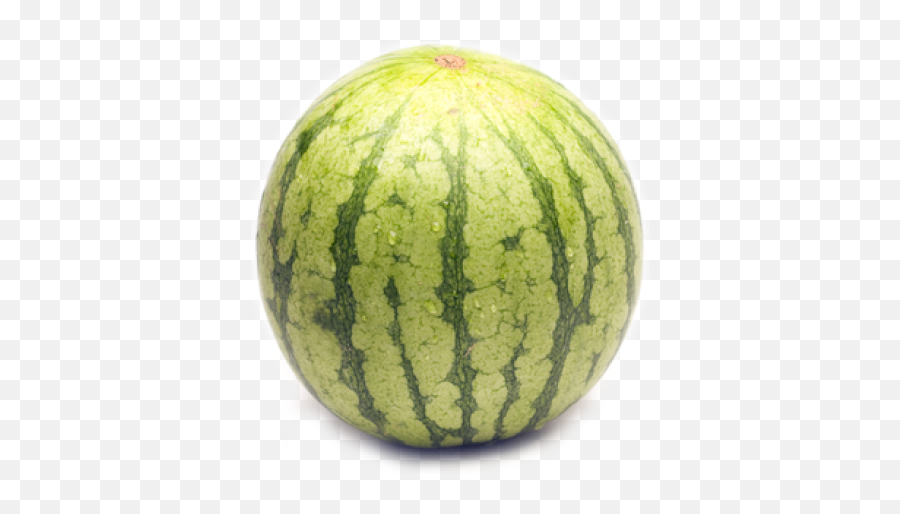Download Free Png Collection Of Watermelon Transparent - Watermelon,Watermelon Transparent Background