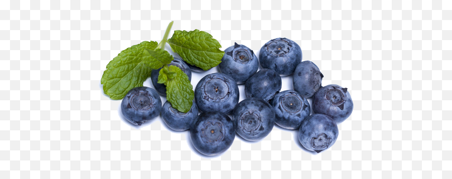Blueberries - Blueberries Brain Food Png,Blueberries Png
