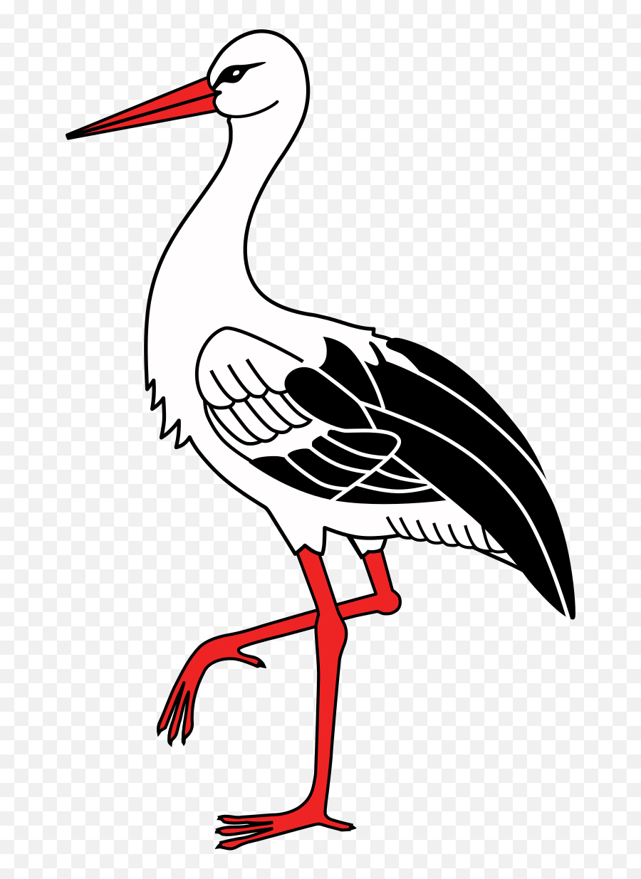 Filestork Storch Cicogne Ooievaar Gólyasvg - Wikimedia Clip Art Stork Png,Stork Png