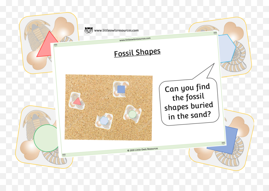 Free Fossil Shapes Printable Early Yearsey Eyfs Resource - Diagram Png,Fossil Png