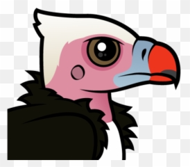 Download Hd About The White - Headed Vulture White Headed Cute White Headed Vulture Png,Vulture Png