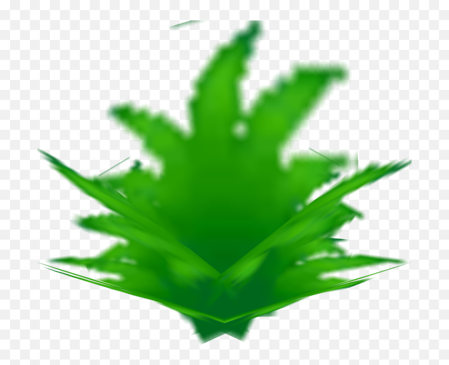 Tall Grass - Aloe Png,Tall Grass Png