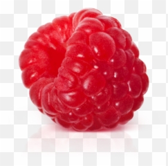 Raspberry Png Images Free Pictures Download Raspberries
