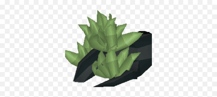 Sprouting Roots Old School Runescape Wiki Fandom - Agave Png,Roots Png