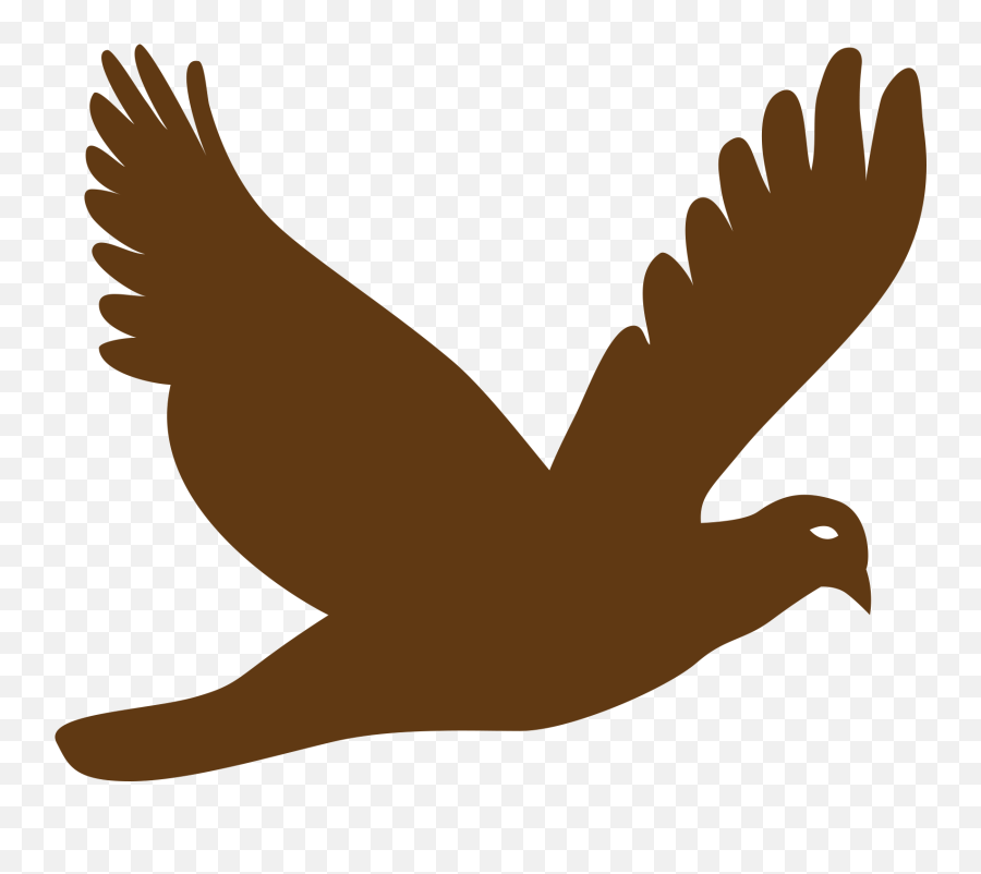 Flying Bird Png Vector Transparent - Silhouette Flying Bird Png,Cartoon Bird Png