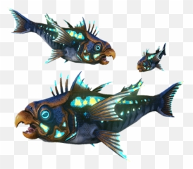 Parakeet Fish School Dododex Ark Survival Evolved - Ark Parakeet Fish Png,School Of Fish Png