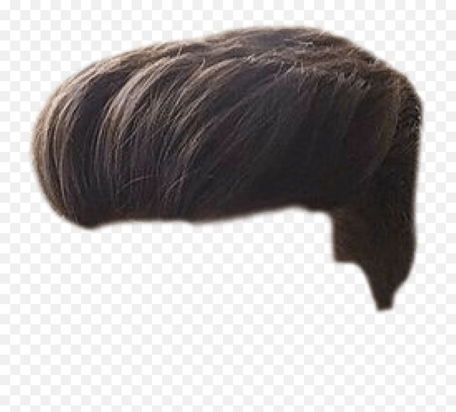 Stylish Hair Png Hd - Men Hair Wig Png,Png Hair - free transparent png  images 