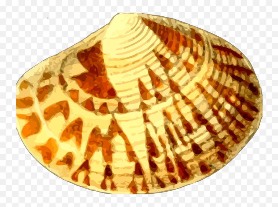 Sea Shell 20 - Kerang Laut Kartun Png,Sea Shells Png