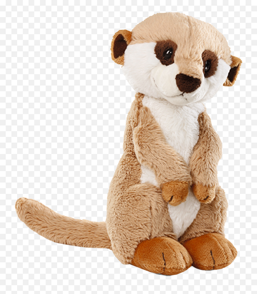 Download Wild Meerkat Sitting 12u201d Plush - Nici Meerkat 30cm Toy Mongoose Png,Meerkat Png