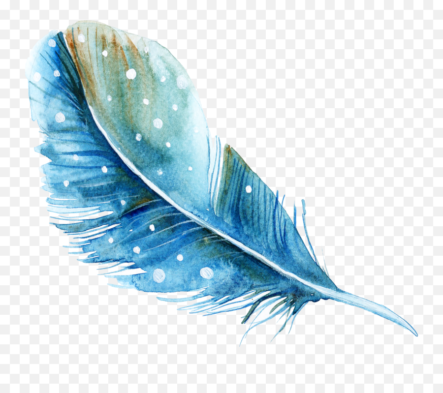 Free Transparent Feather Png Download - Watercolor Feather Transparent,Feather Drawing Png