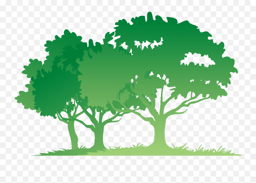 Free Transparent Bible Png Download - Vector Tree With Roots,Transparent Forest