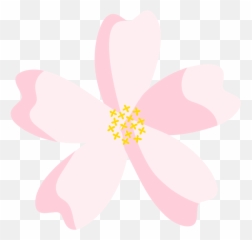 Michelle Sprowl - Bokeh Shapes Template png