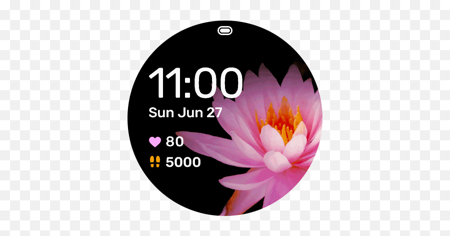 Water Lily Garmin Connect Iq - Tasa Del 16 Iva Png,Garmin Express Icon