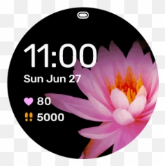 Water Lily Garmin Connect Iq - Tasa Del 16 Iva png