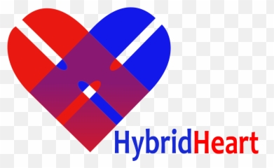 General Archieven - Hybrid Heart Hybrid Heart Project Png,Pct Medical Icon Heart