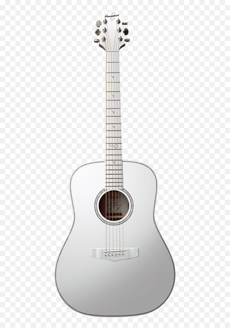 A Special Order By Boudewijn De Groot - Homestead Guitars Solid Png,Groot Icon