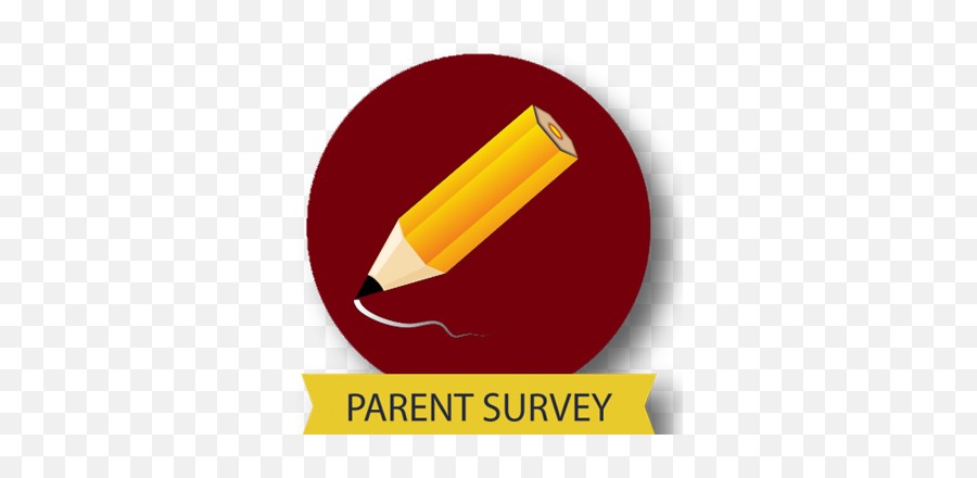 Parent Opinion Survey - Richard Carroll Elementary Solid Png,Google Plus Vector Icon