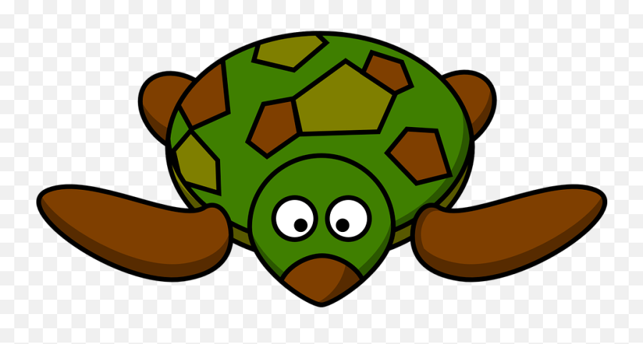 Turtle Cartoon Front - Sea Turtle Clipart Png,Cute Turtle Png