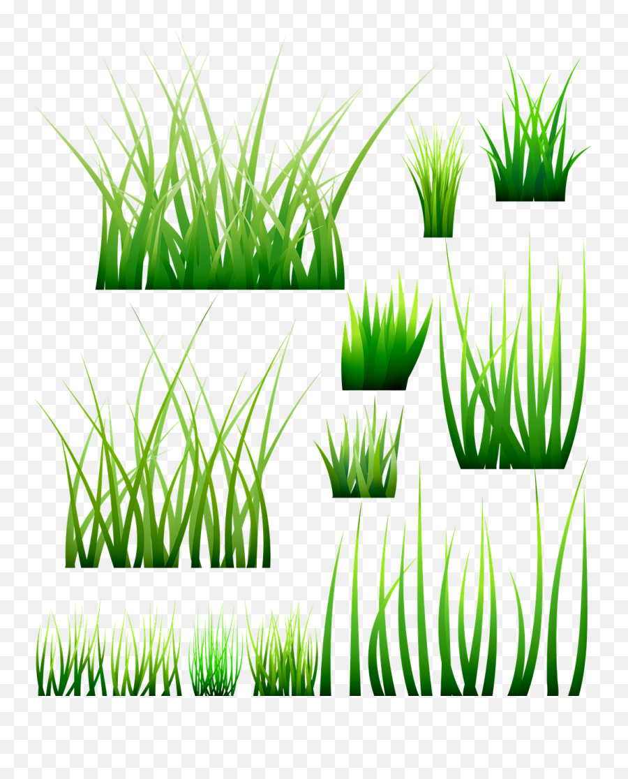 Grass Green Blades Meadow - Free Image On Pixabay Painting Blades Of Grass Png,Grasses Png