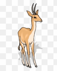 Free Gazelle Clipart - Gazal Png Download Full Animal Figure