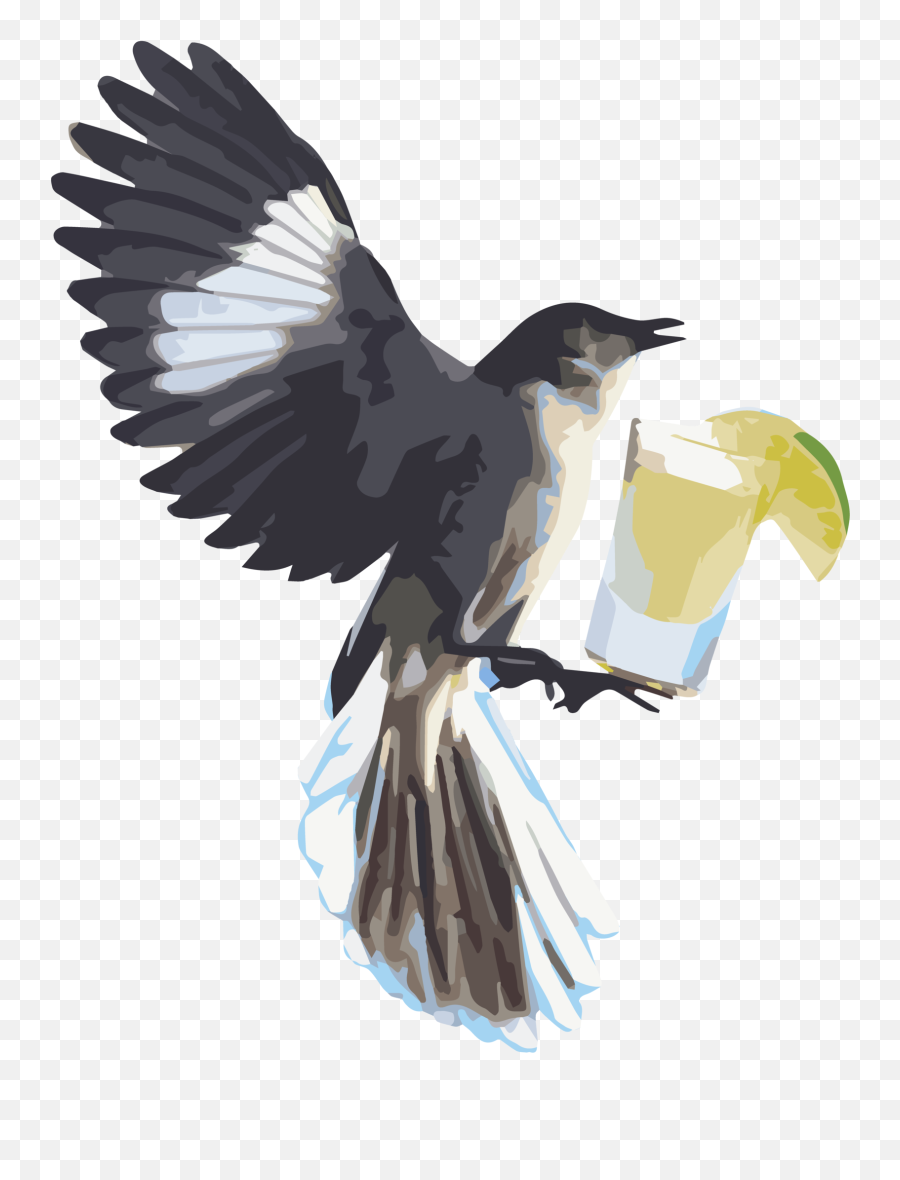 Projects U2014 Tequila Mockingbird Productions Png Icon