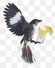Projects U2014 Tequila Mockingbird Productions Png