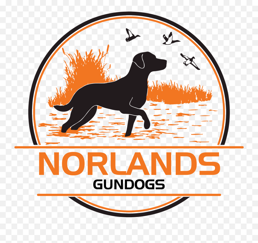 Norlands Gundogs Gundog Training - Dog Group Logo Png,Dog Logo