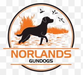 Norlands Gundogs Gundog Training - Dog Group Logo Png,Dog Logo