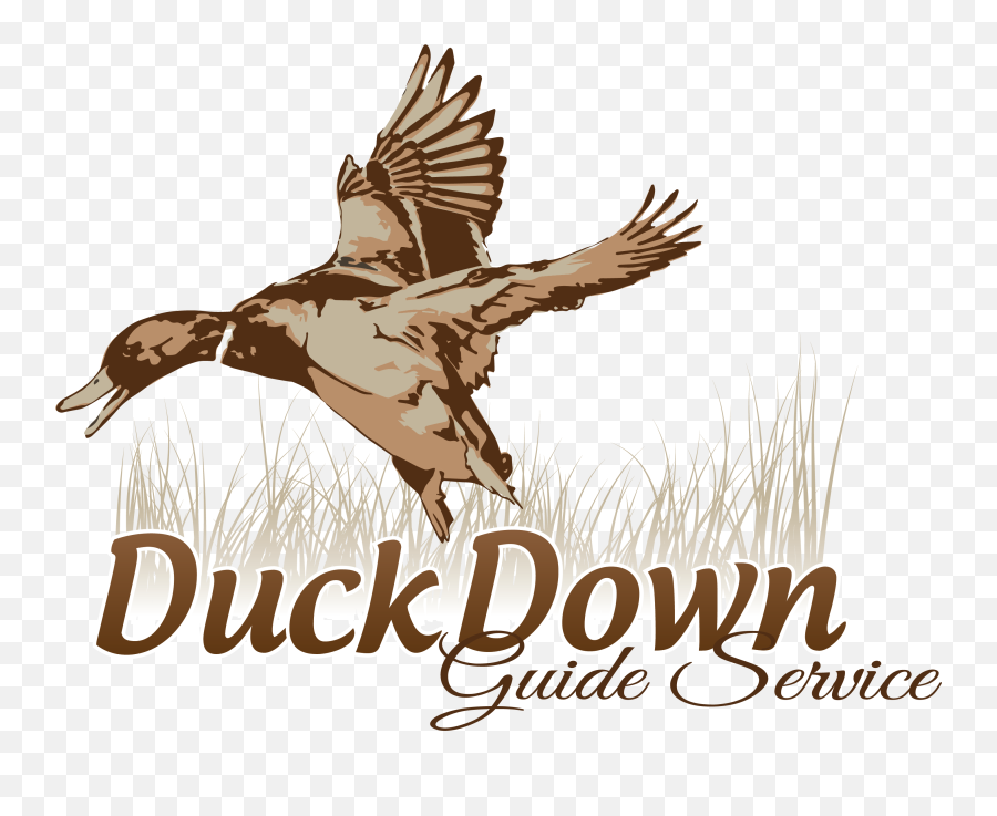 Logo Duck Hunt Png - Duck Hunting Logo,Duck Hunt Png