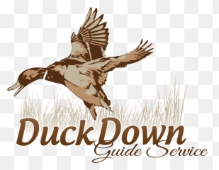 Logo Duck Hunt Png - Duck Hunting Logo,Duck Hunt Png