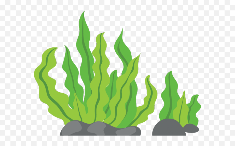 Sea Weeds Clipart Png - Transparent Seaweed Cartoon Png,Weeds Png