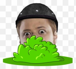 Transparent Background Cartoon Bush - png