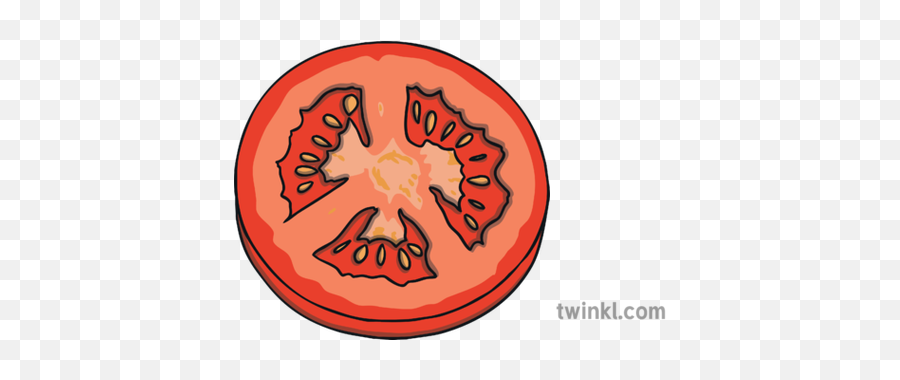 Tomato Slice Illustration - Tomato Slice Clipart Png,Tomato Slice Png
