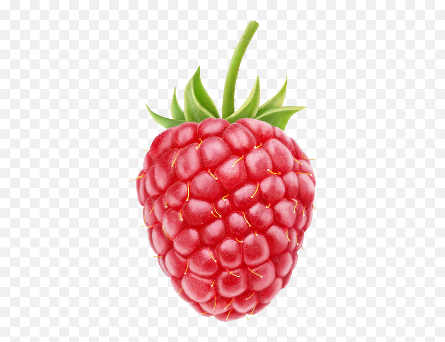 Raspberry Png Transparent Images - Raspberry Png,Raspberries Png