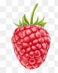 Raspberry Png Transparent Images - Raspberry Png,Raspberries Png