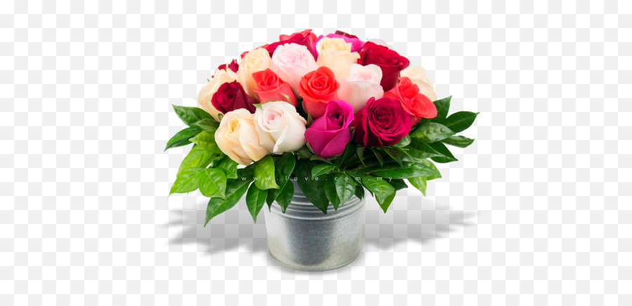 Download My Flower Pot - Love Flower Pot Png,Flower Pot Png