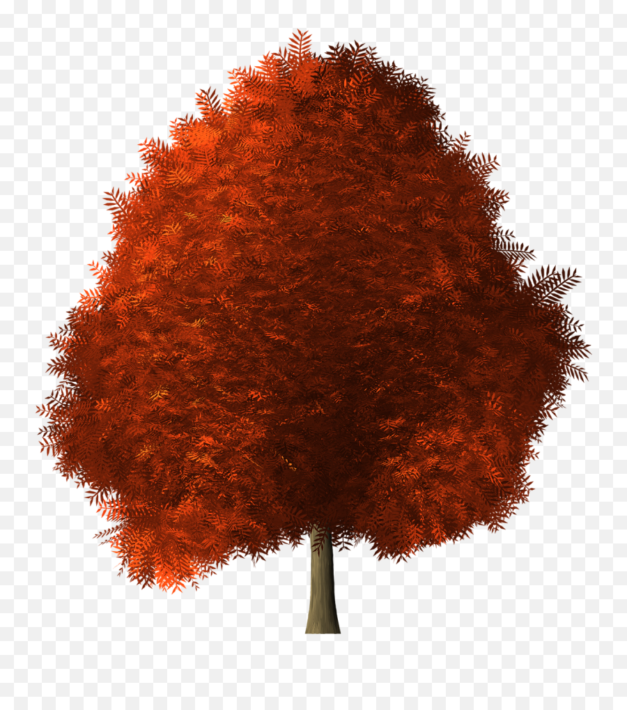 Red Wig Png - Maple Tree Transparent Background 4795474 Maple,Wig Transparent Background